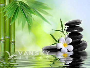 240423195324_esktop-wallpaper-spa-backgrounds-group-spa-massage-thumbnail.jpg
