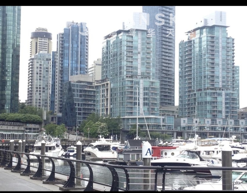 Downtown阳光海景公寓二室二卫一书房一阳光房出租