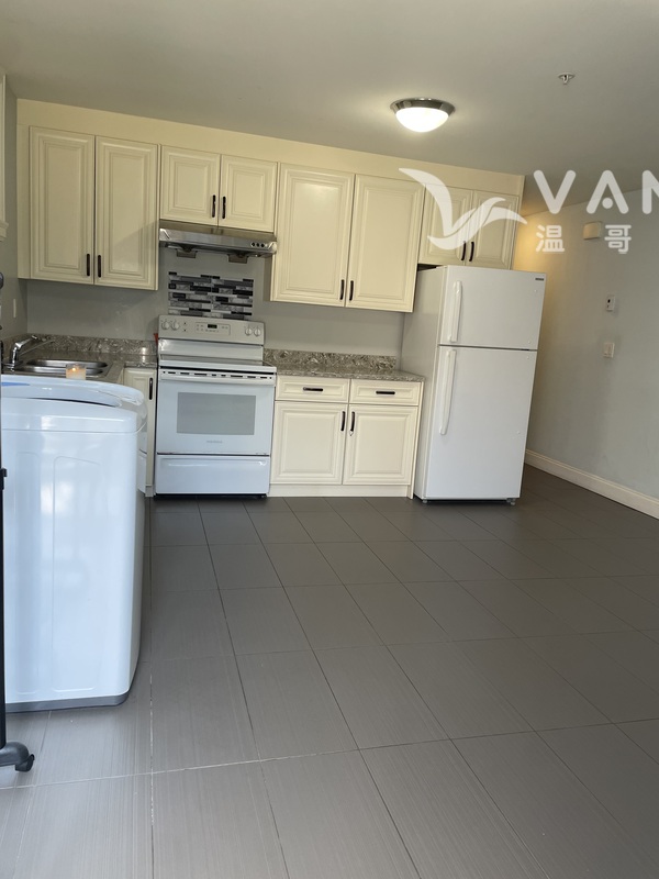 温东frseeview一房一厅出租