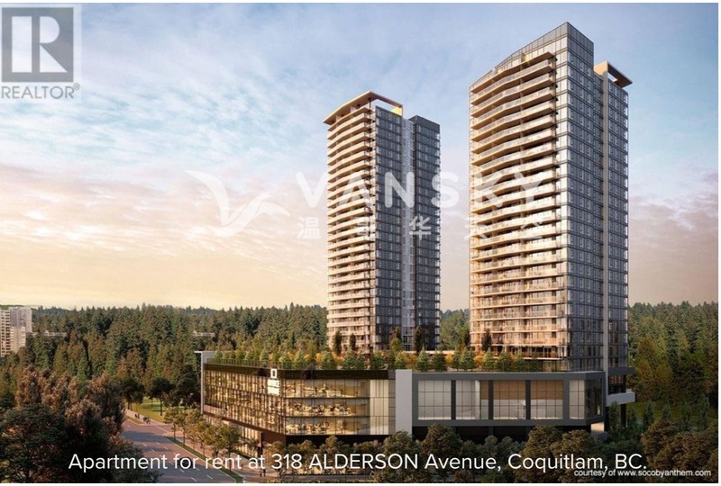 高贵林Lougheed 全新2房2卫带空调出租