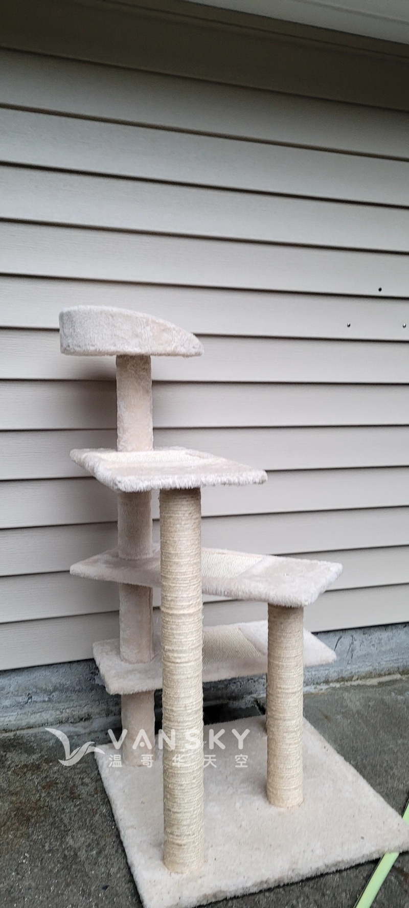 便宜卖猫树。猫龙