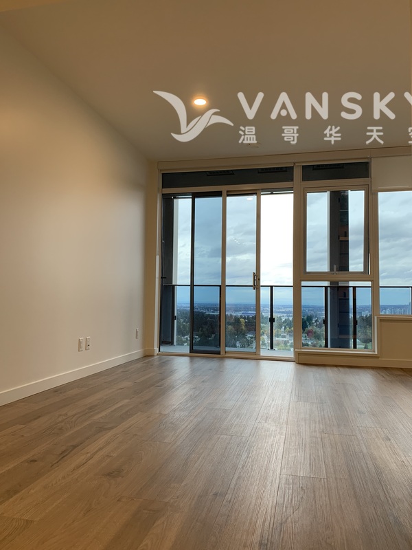 素里市政府旁高层风景公寓整租