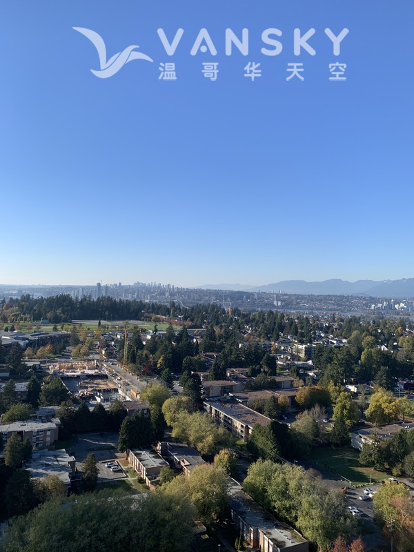 素里中心高层风景一房