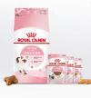 Royal Canin皇家幼猫猫粮 Kitten dry food，2kg/$25
