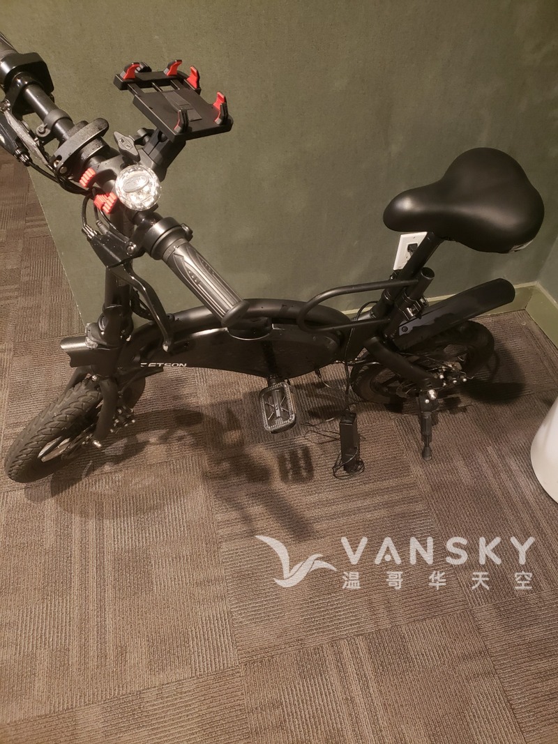 9.9新电动自行车便宜出250 刀 烈治文自取