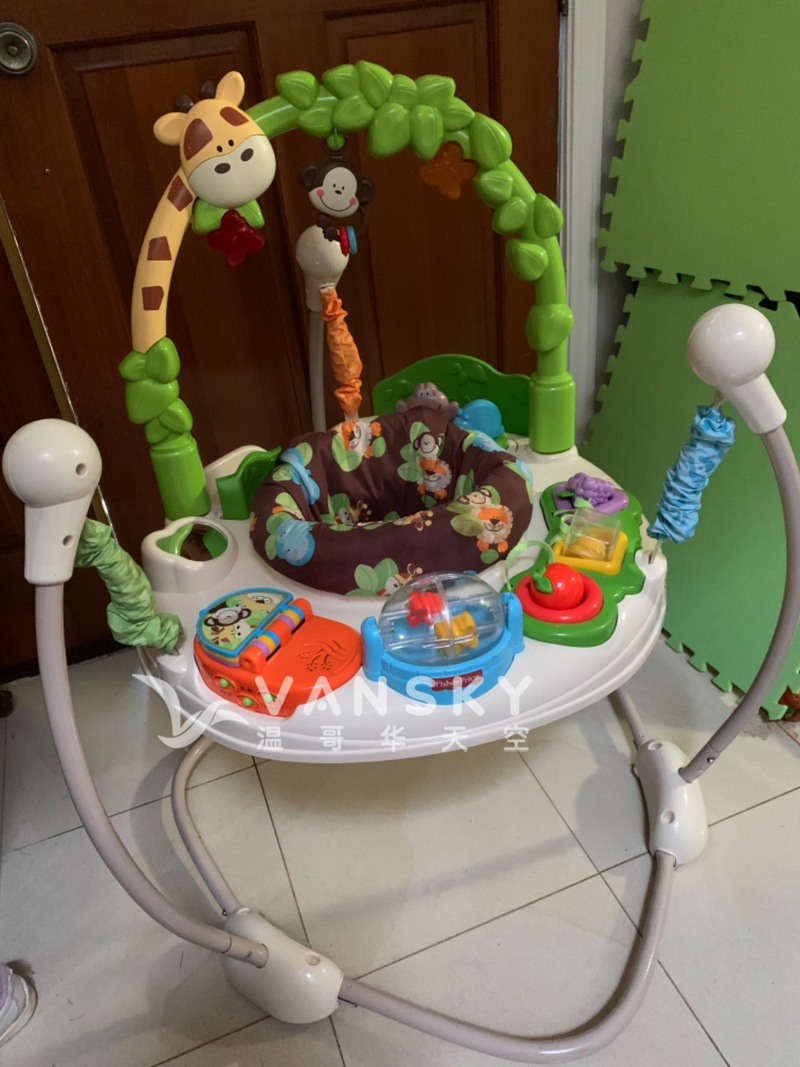 Fisher Price bouncer 