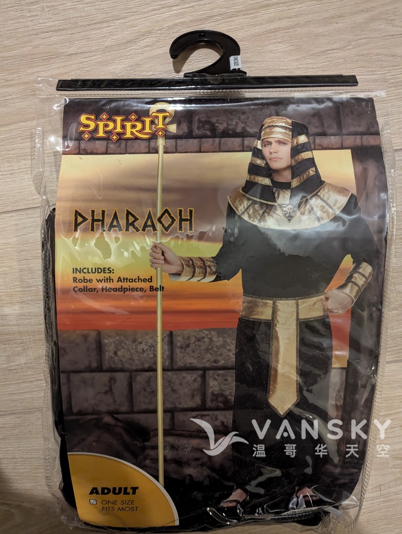 萬聖節法老王服裝