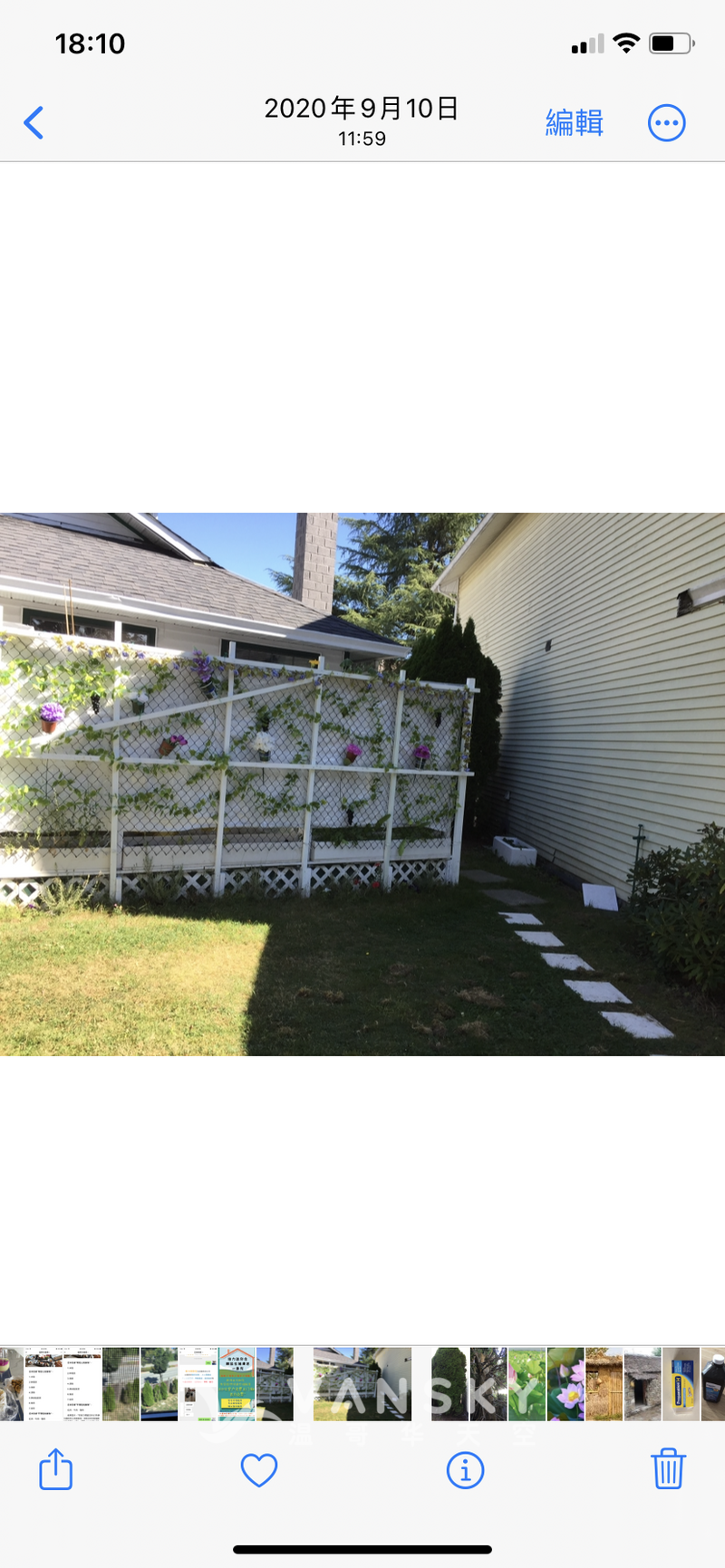 Surrey 台湾村独立屋一房一厅出租$750