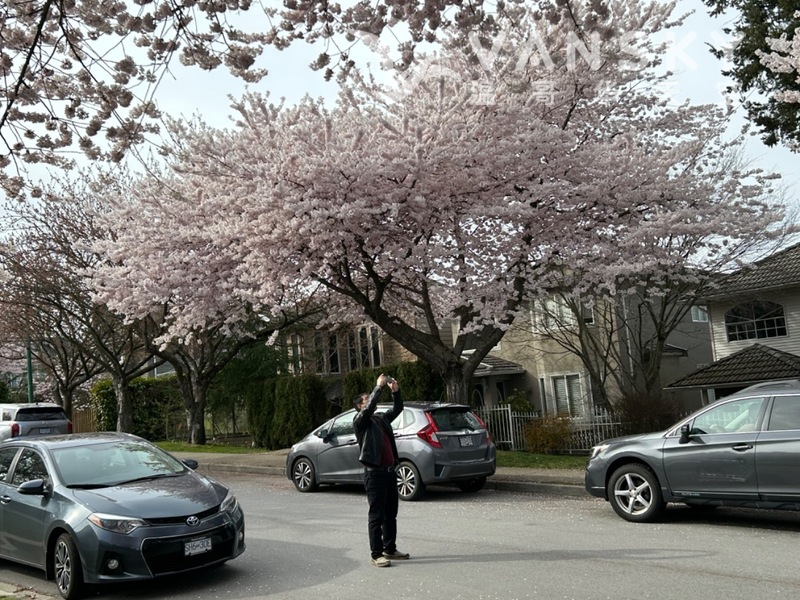 独立出入的两个房间出租