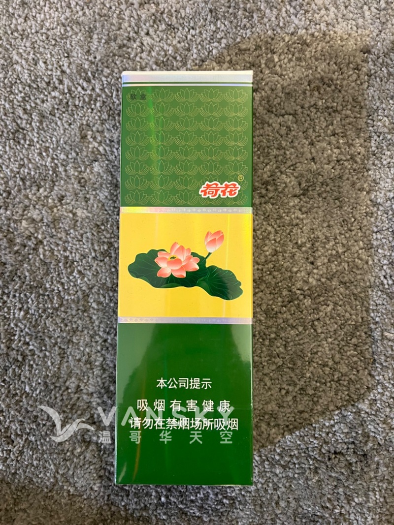 241223122941_IMG_2409.jpeg