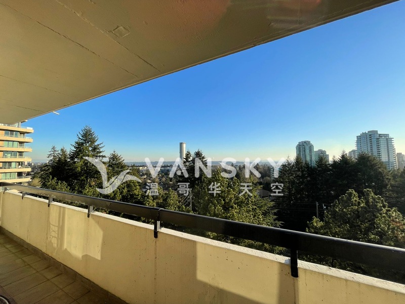 南本拿比水泥公寓一房一卫出租