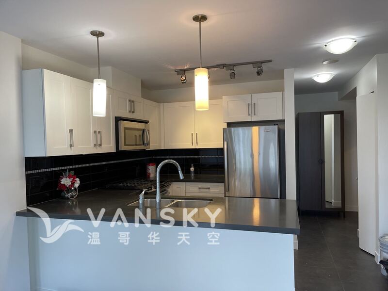 本拿比高层公寓两室两卫近天车站