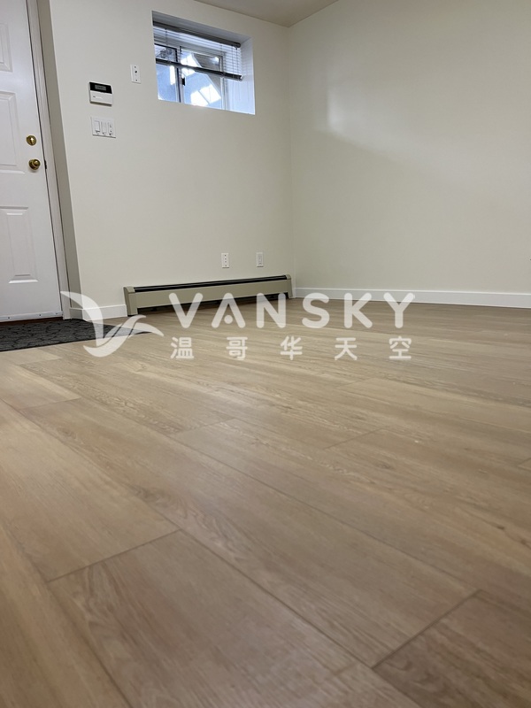 温东49街一房一厅出租