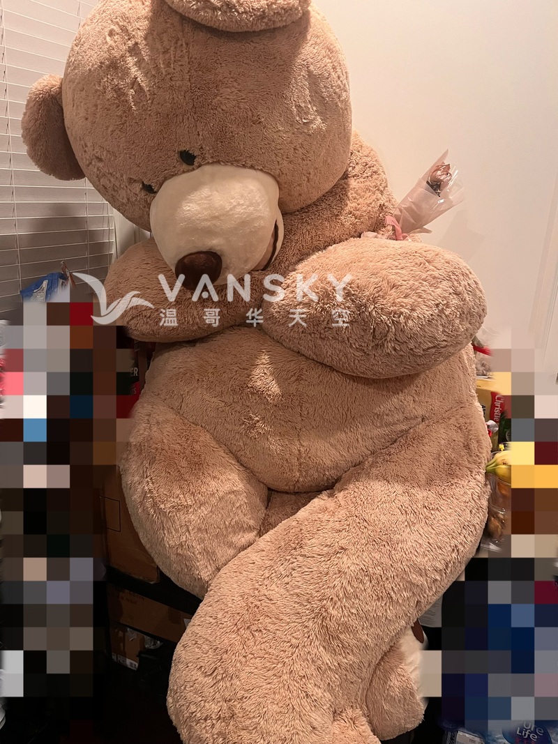 Costco大熊，50一个