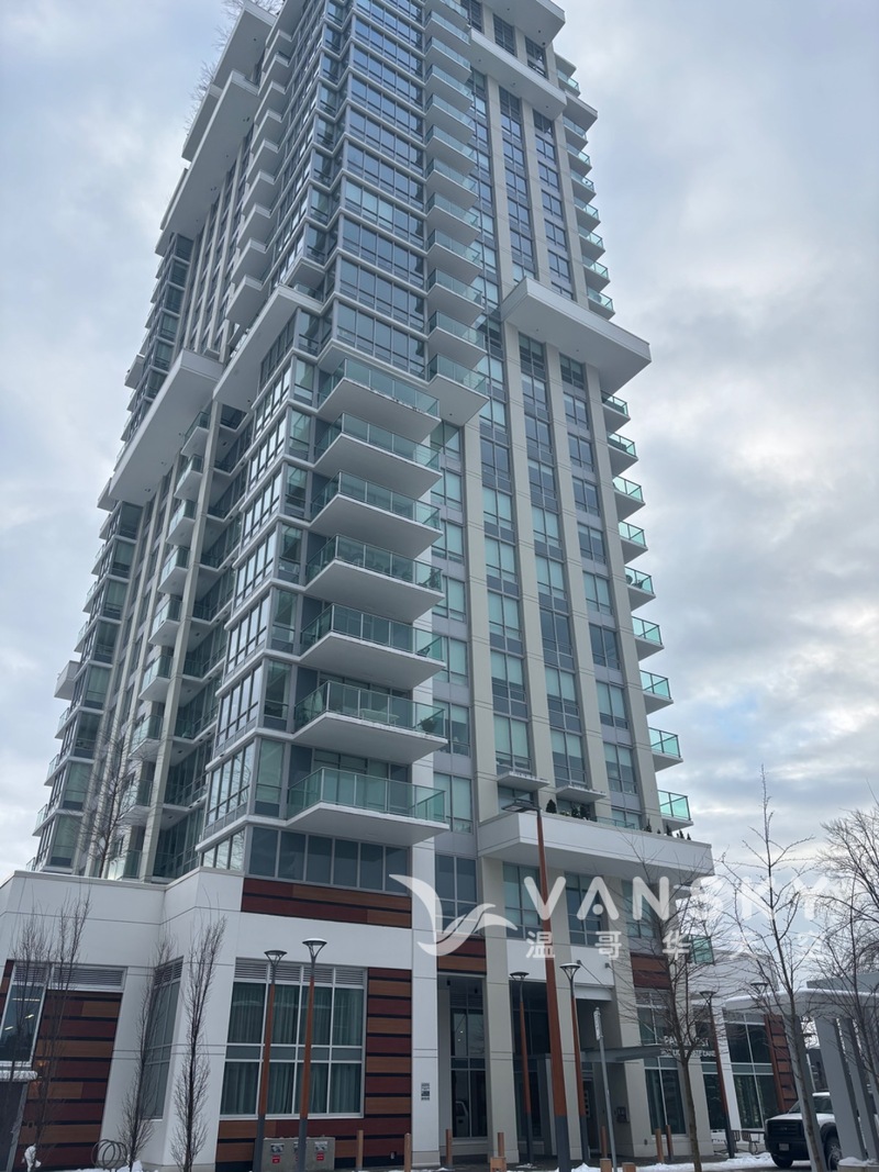 北温2年新一室一厅公寓出租