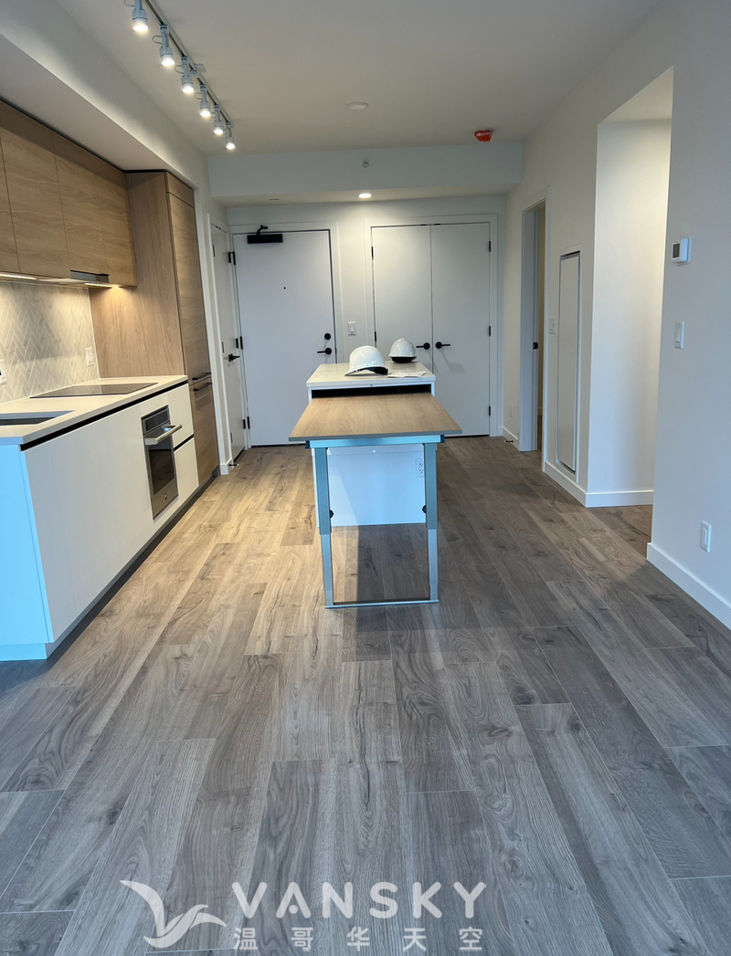 北素里高层新公寓出租