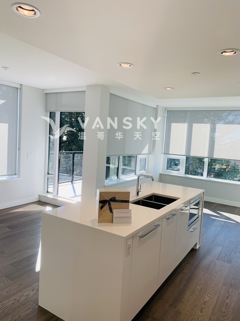 UBC 校区 Vancouver 高层海景房  两房 4月1 号入住。