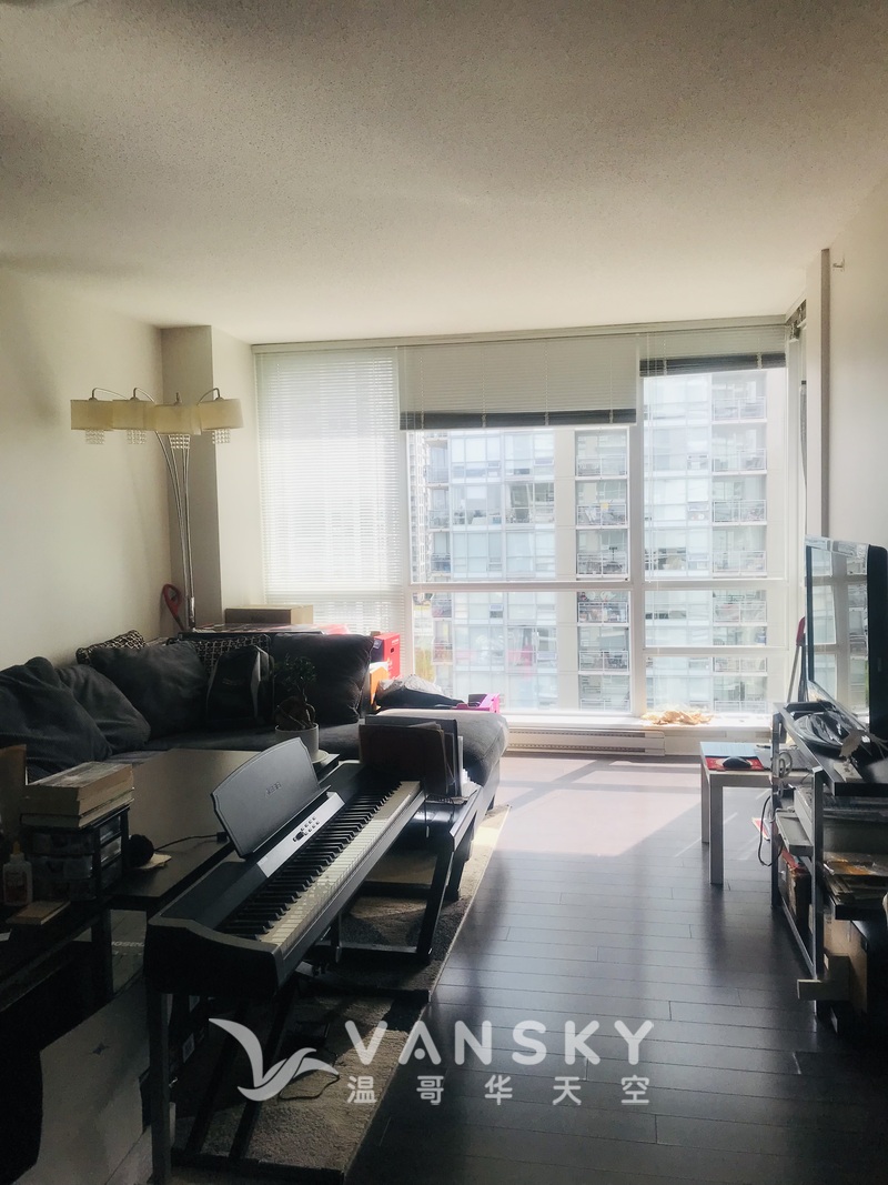 高贵林中心高层一室一厅出租