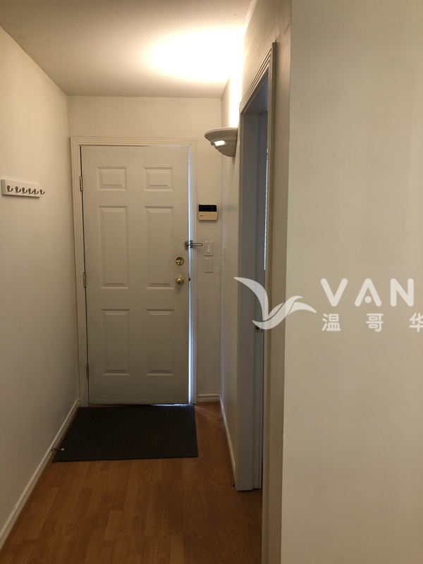 舒适一室一厅（带家具）招一女生