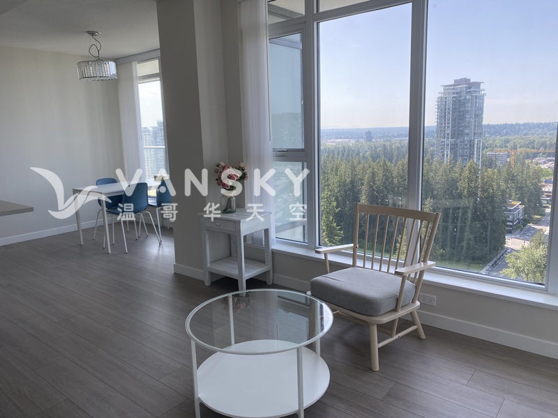 市中心高级公寓两室两卫拎包住