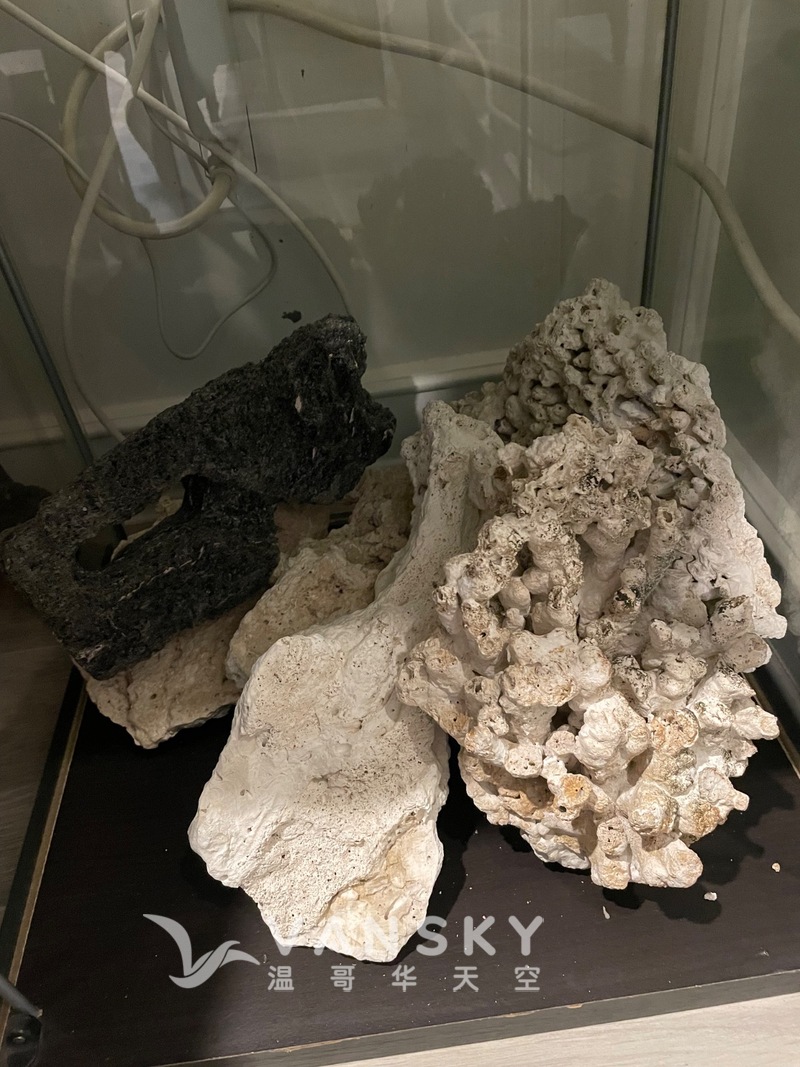 水族箱珊瑚石