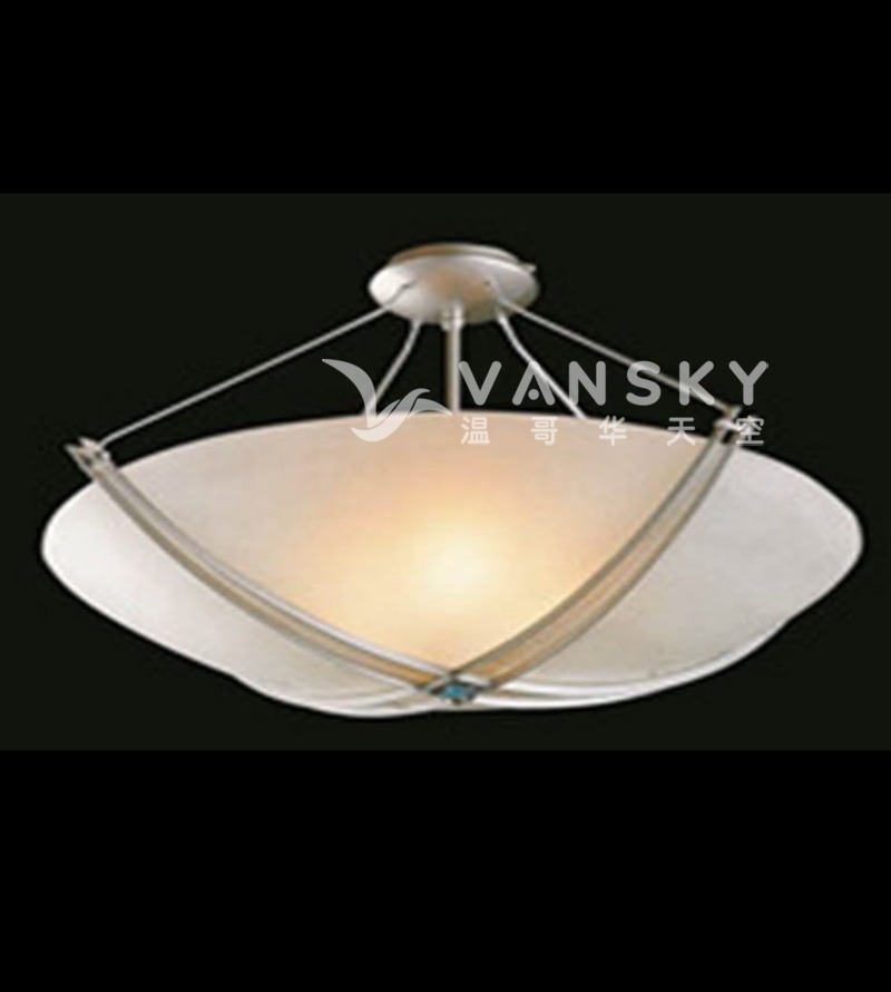 全新住宅/商铺大吊灯