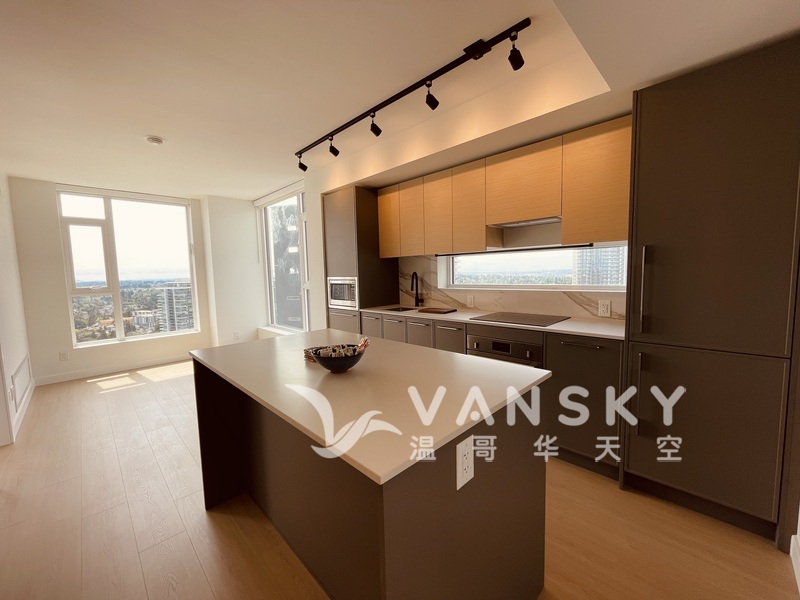 素里市中心两房两卫高层豪华靓景观公寓