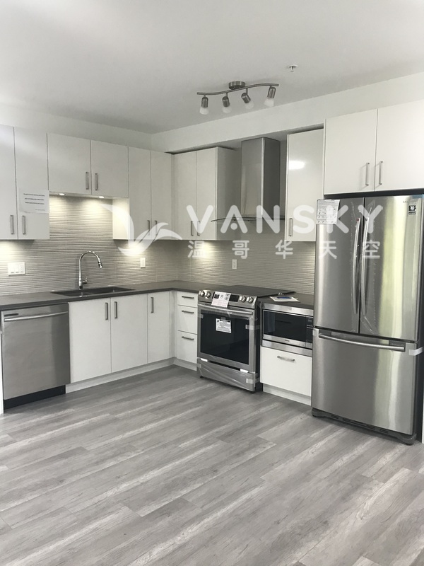 出租素里近市中心两室两卫公寓