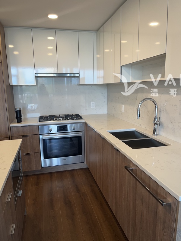 全新Icon 大樓2房2廳+den