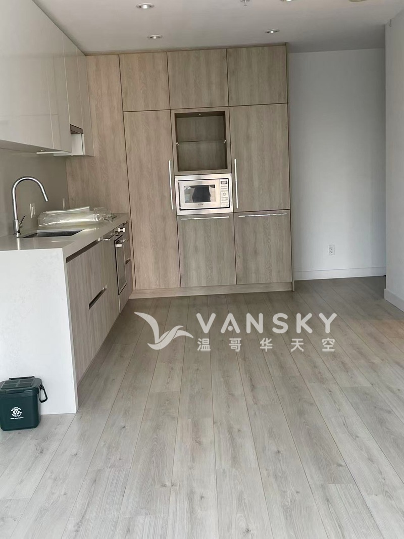 metrotown附近station square 一房一厅出租