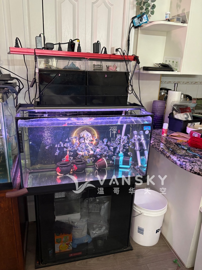 鱼缸等设备