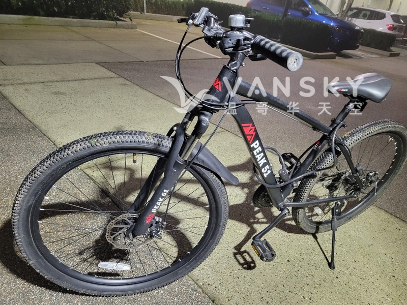 28寸特粗胎双碟刹