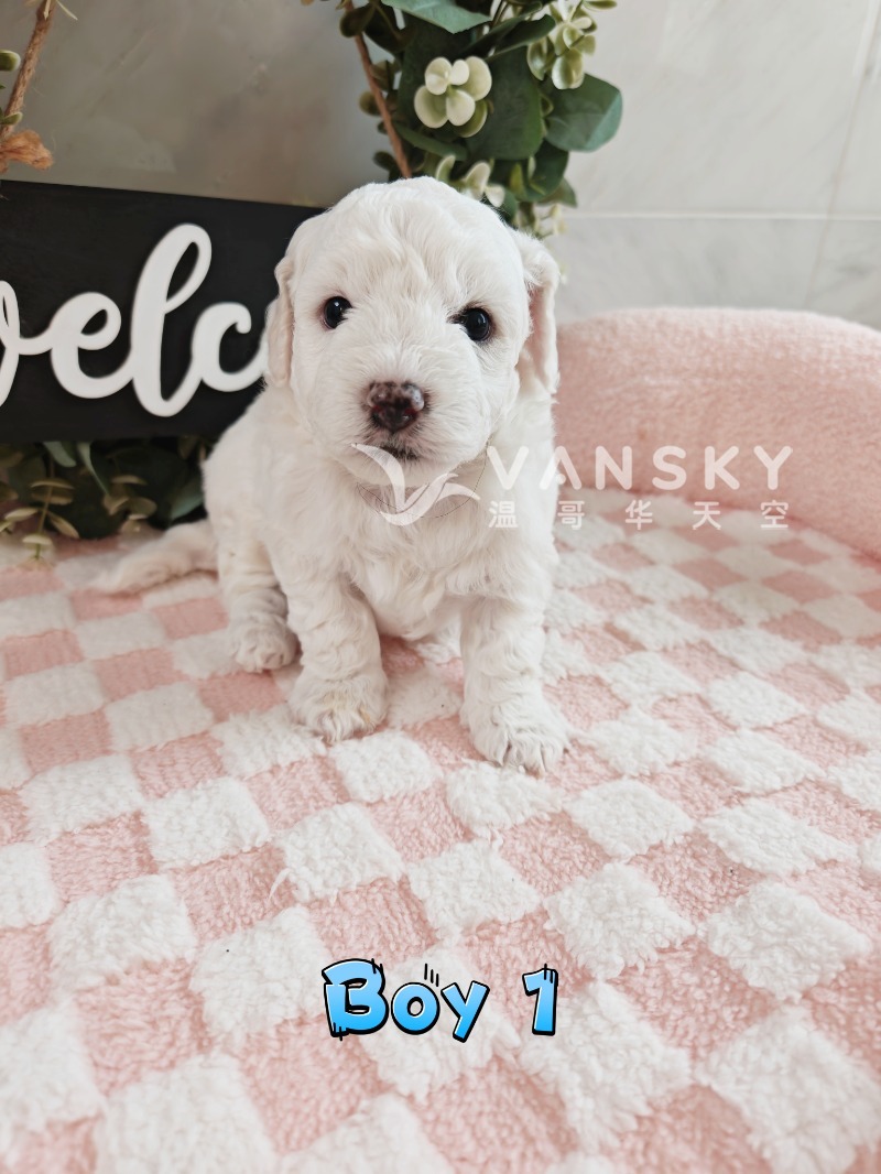 260401132652_图片_20260330105247_606_208.jpg