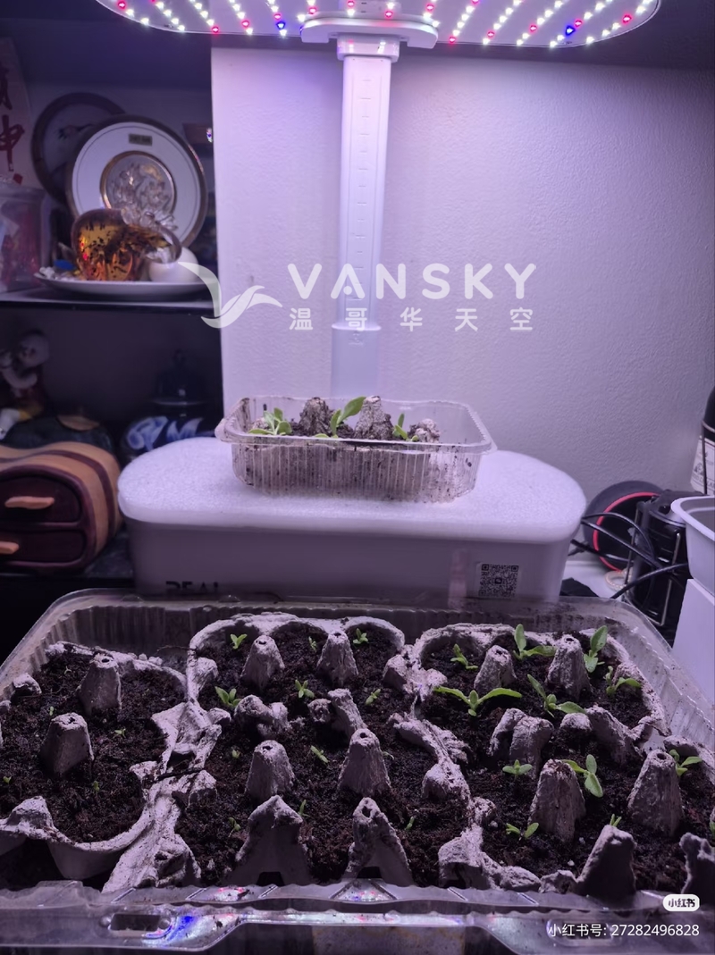 260507101351_8056.jpg