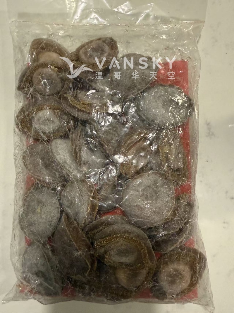 半价转让日本28头吉品干鮑
