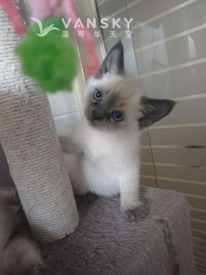 260521214725_1670.jpeg