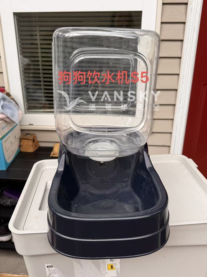 260703203619_576.jpeg