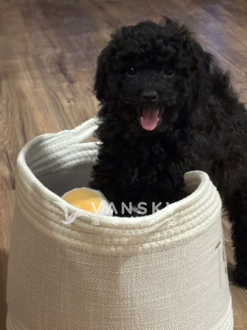 260710220018_2449.jpeg