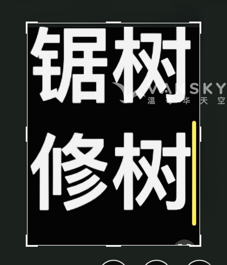 专业，锯树，修树，              谢生：778-882-7099