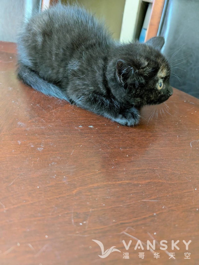 260506033445_5848.jpeg