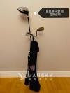 简易高尔夫球杆 $100