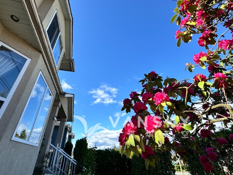 Metro独立屋单间$850出租