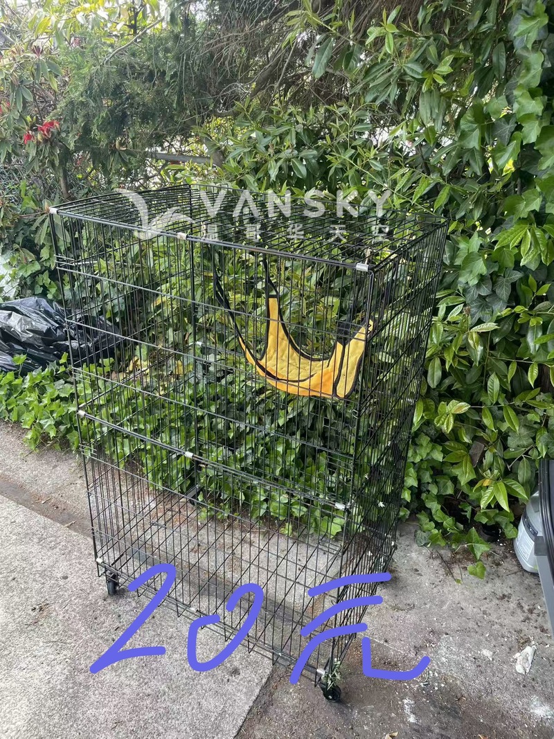 260518171645_IMG_2661.jpeg