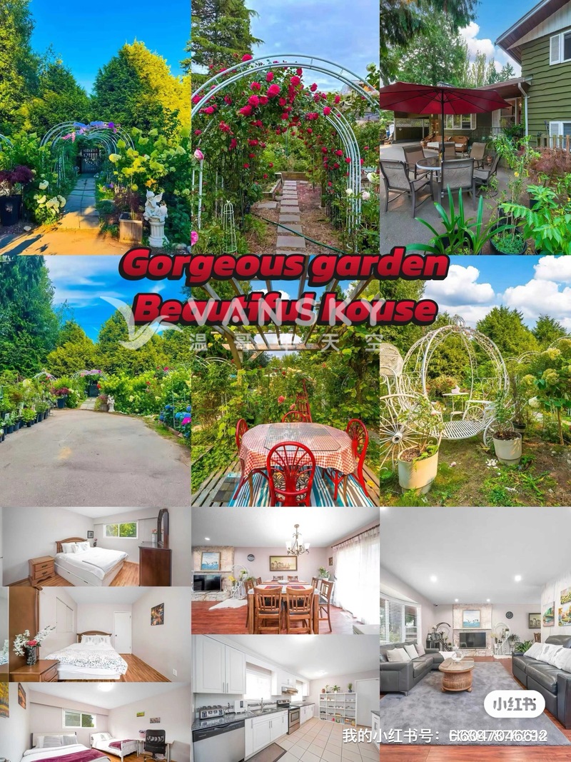 南素里近白石三室一厅一卫一厨整租