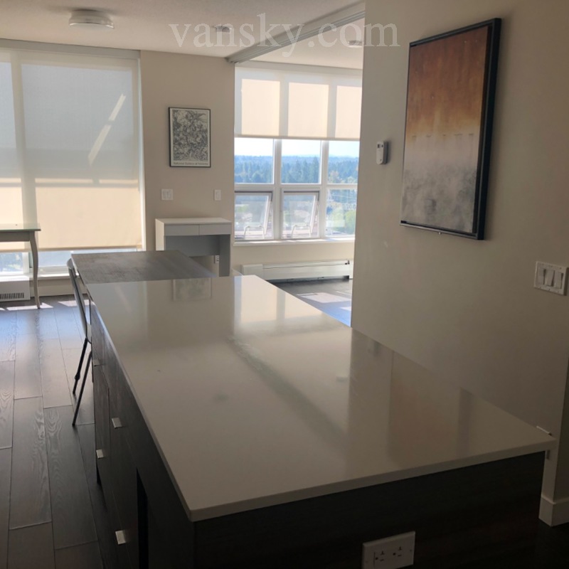 BOSA高层公寓1室1厅（素里中心）出租