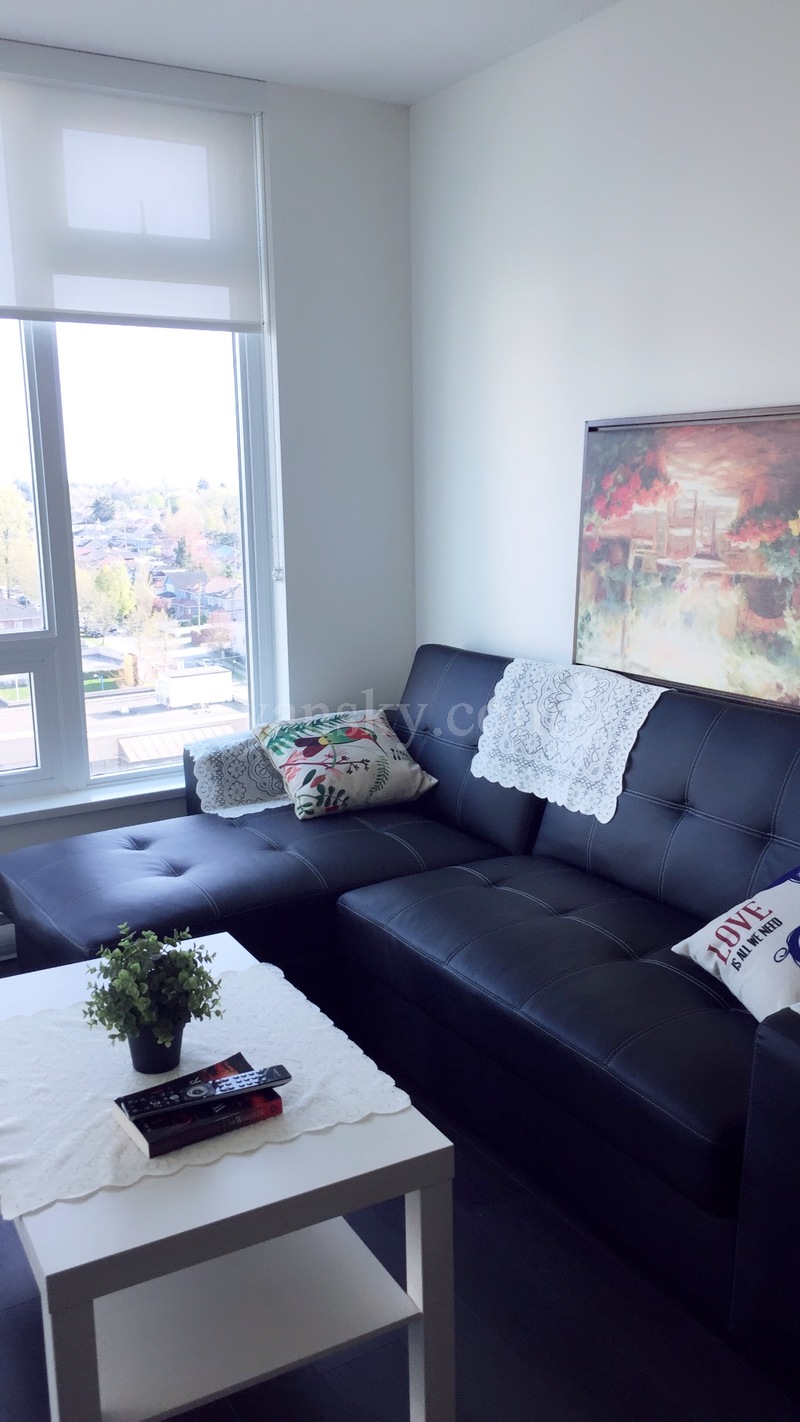 Metrotown 附近2017年全新高层一室一厅出租，$2700