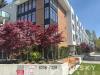 $3200/月 3房3卫2 停车位  全新Townhouse - 素里 