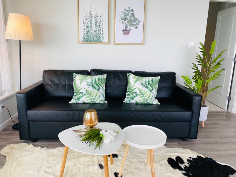 一站式租房管家，UBC，Richmond 公寓管理出租