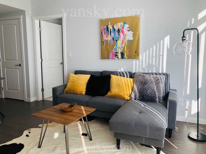 列治文//Metrotown/UBC/ 豪华公寓拎包入住，一房两房三房户型供选择