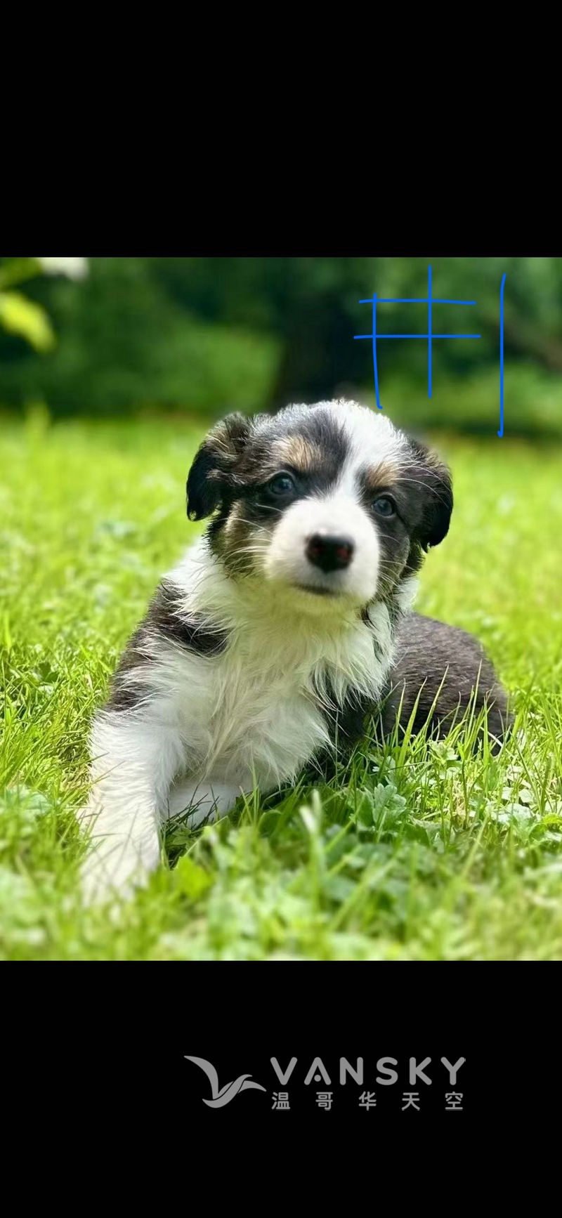 250604214246_d2c5ef17c8f17368fcf586dfec2f230b.jpeg